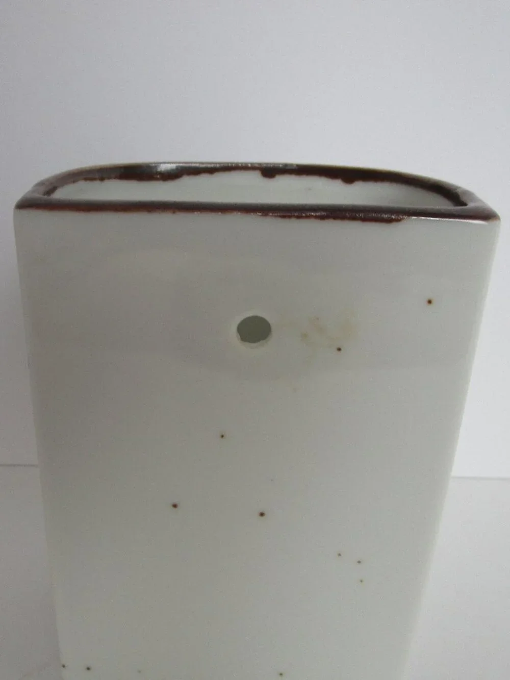 wall flower vase